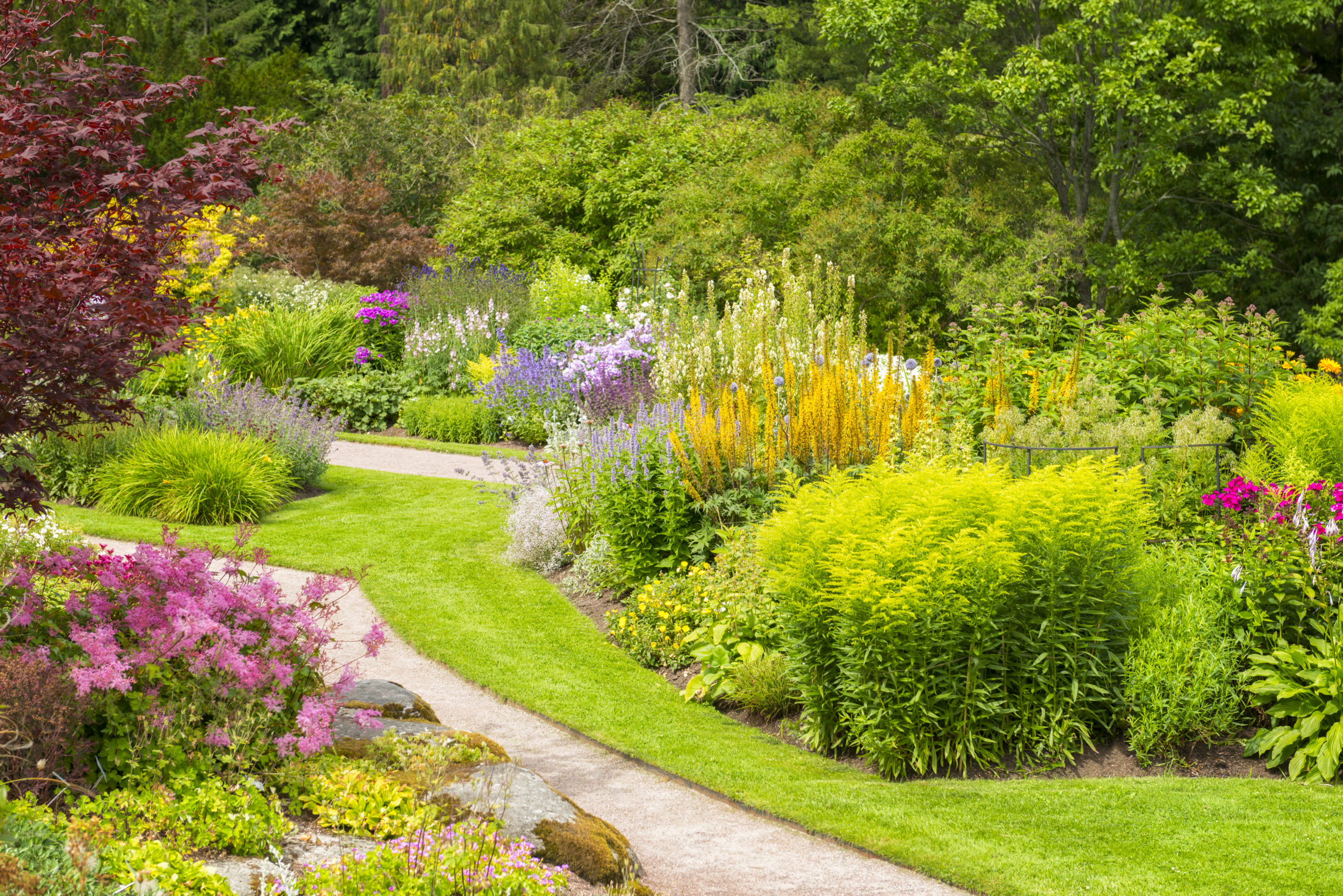 Gartengestaltung in Berlin